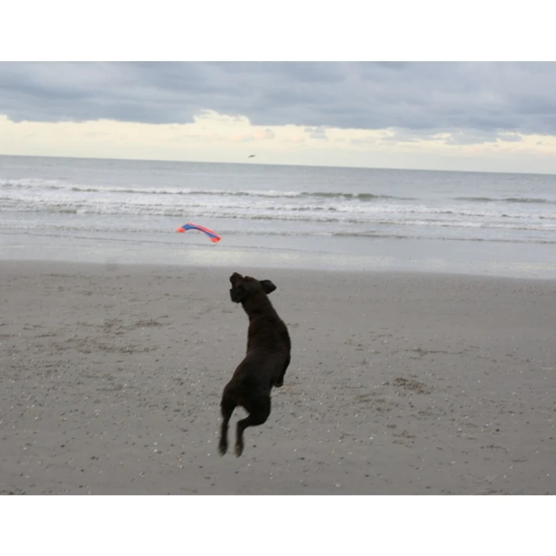 Chuckit! Flying Squirrel