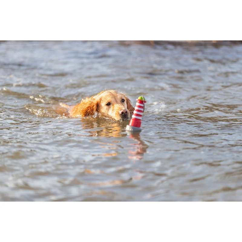 Aqua Toy Leuchtturm, Wasserspielzeug Hund
