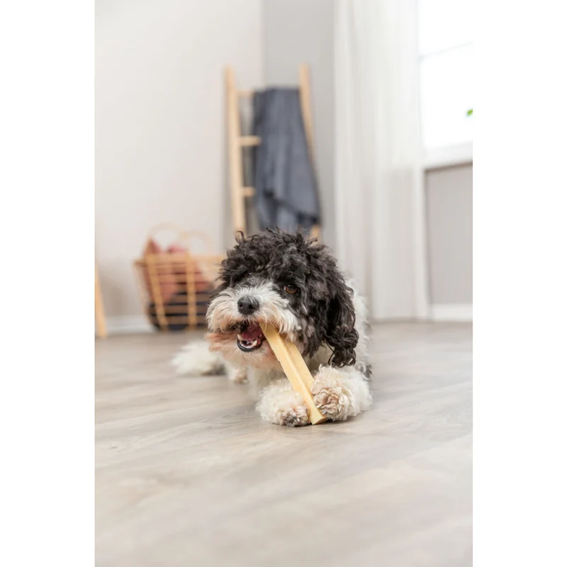 Kaukäse für Hunde