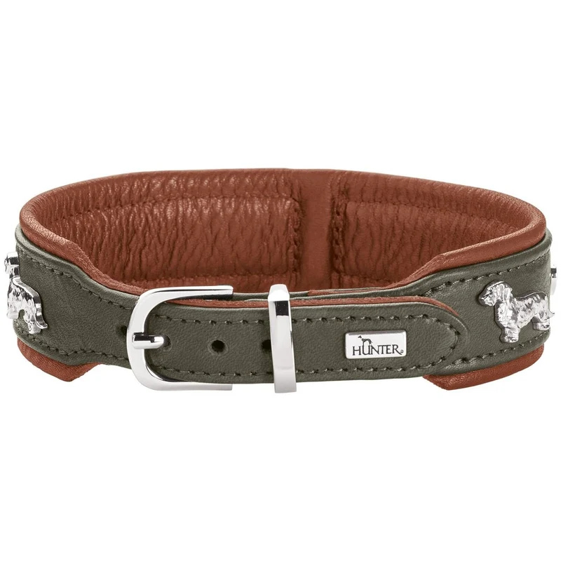 Teckel Halsband München