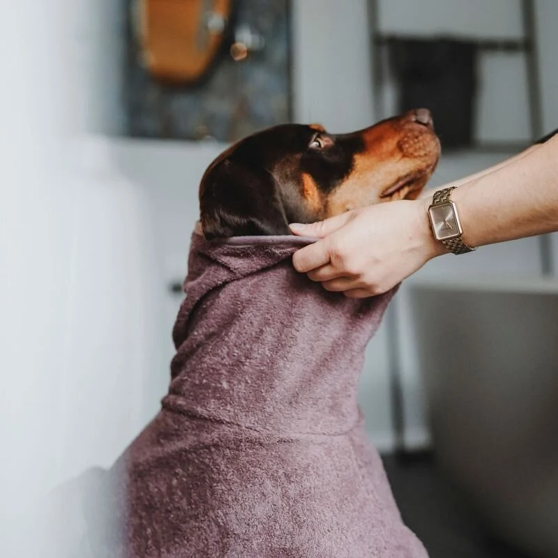 Bademantel Riga für Hunde