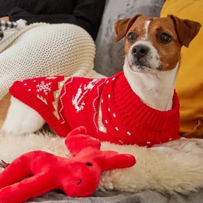 Wolters Strickpullover Santa Hundepullover