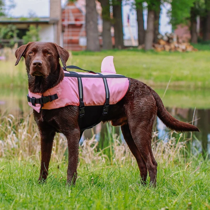 Hunde Schwimmweste Sharki mit Haifischflossen