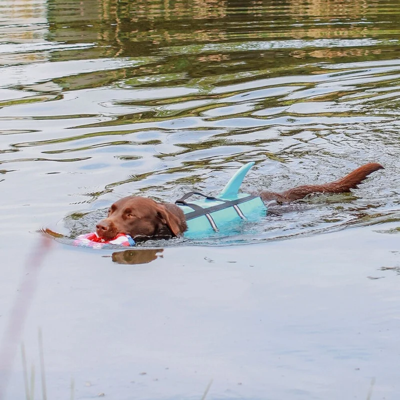Hunde Schwimmweste Sharki mit Haifischflossen