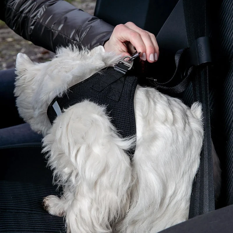 Wolters Sicherheitsgurt für kleine und große Hunde
