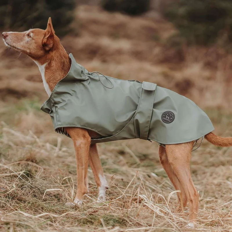 Hunde Regenmantel Milford Friesennerz