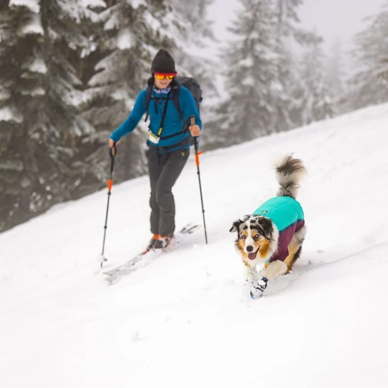 Powder Hound Wintermantel für Hunde