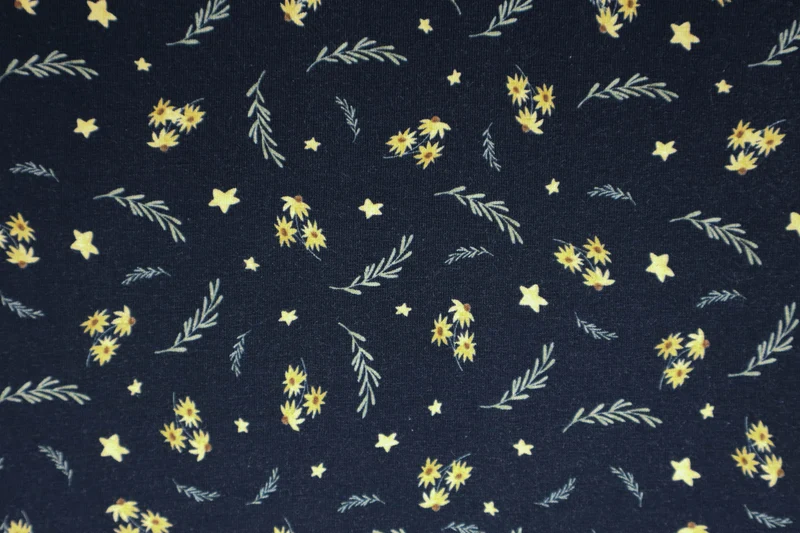 Baumwolljersey Dreamland Blumen