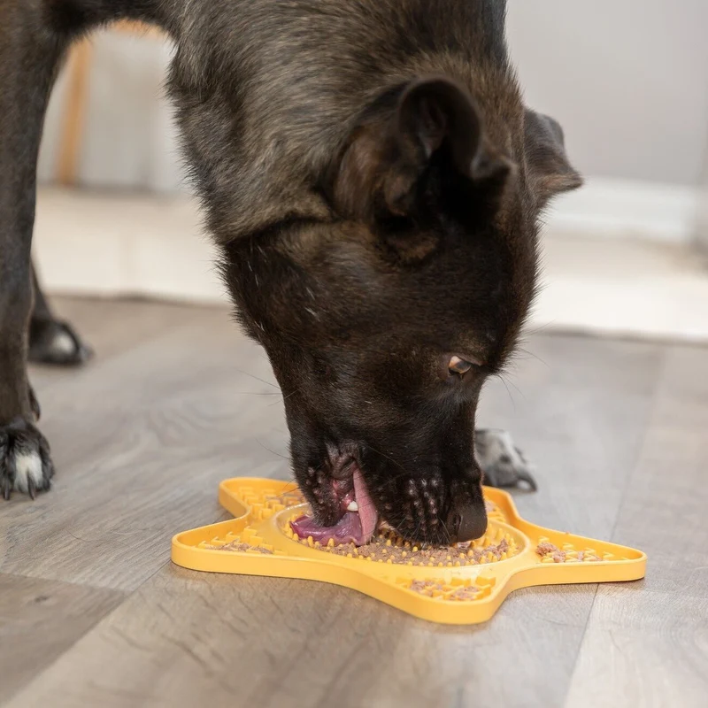 Lick'n'Snack Matte Stern