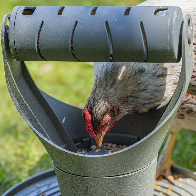 ECO Futter- und Snackrolle für Hühner