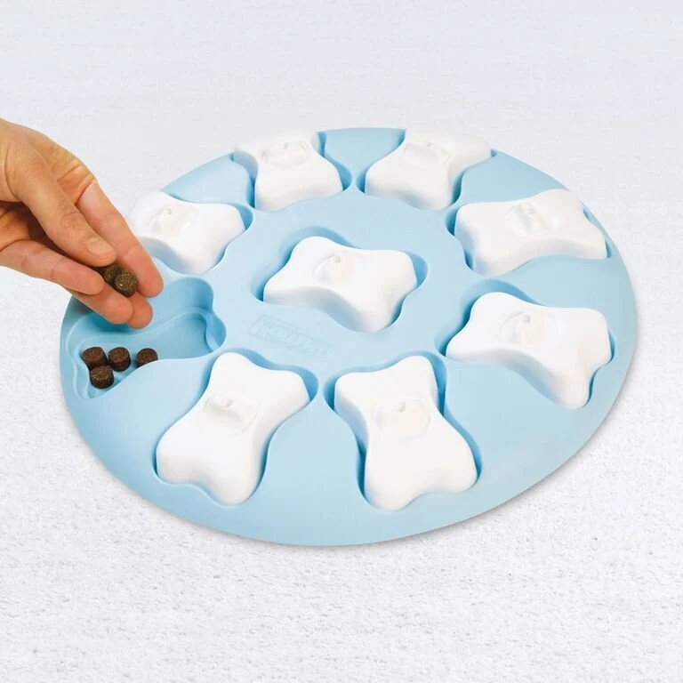 Puppy Smart Welpen Intelligenzspielzeug