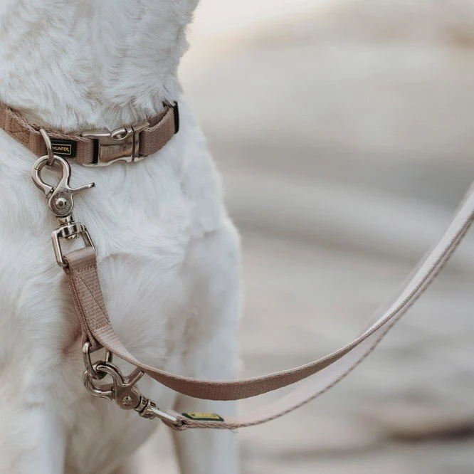 Hunde Halsung Inari Alu-Strong