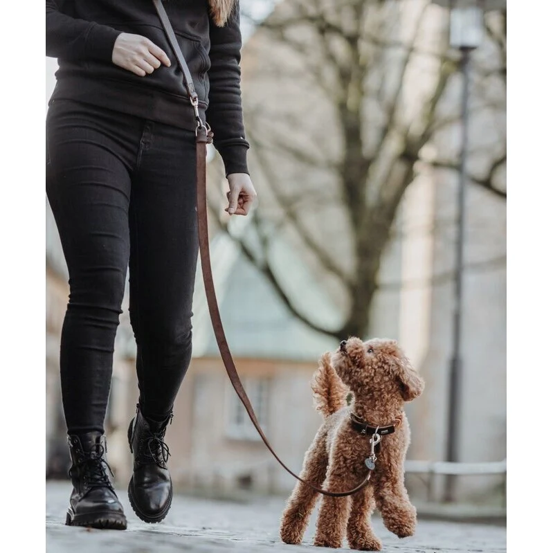 Hunde Halsung Inari Alu-Strong