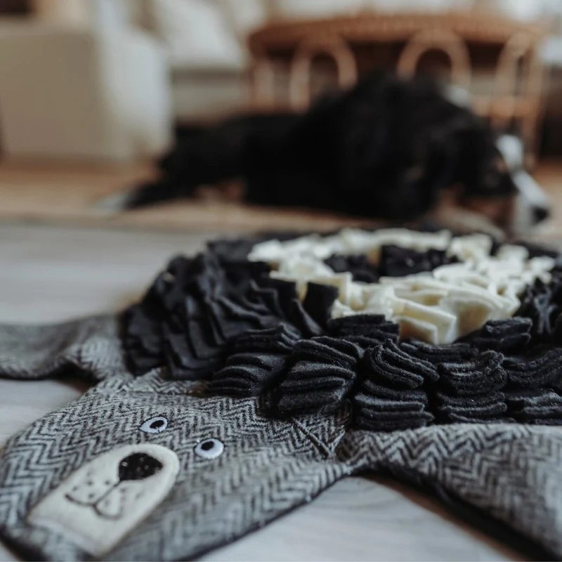 Schnüffelteppich Billund für Hunde
