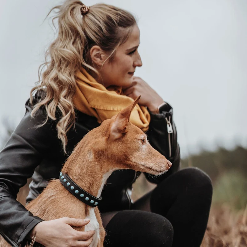 Hundehalsband Modica aus Leder