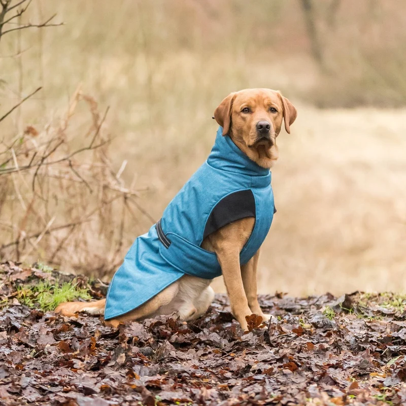 Hundemantel Riom für den Winter