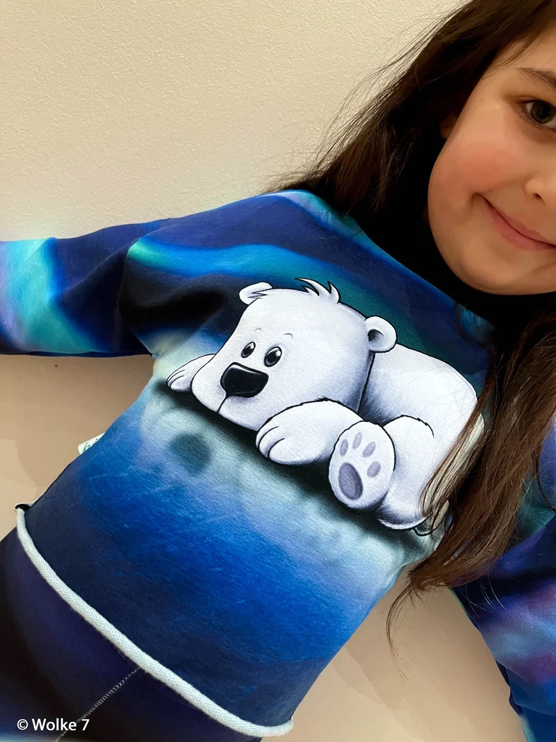 Sweatshirt Panel On The Rocks - Eisbär Polarlichter by Thorsten Berger