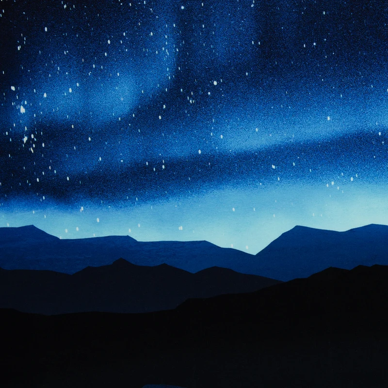 Sweatshirt Panel On The Rocks - Eisbär Sternenhimmel by Thorsten Berger