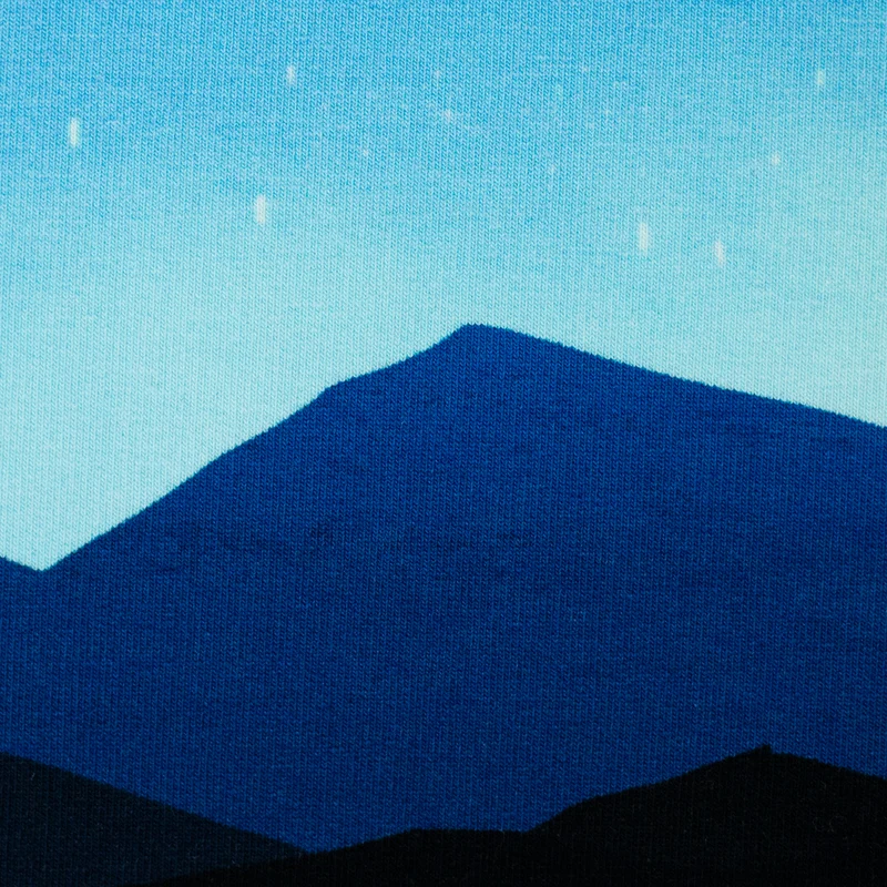 Sweatshirt Panel On The Rocks - Eisbär Sternenhimmel by Thorsten Berger