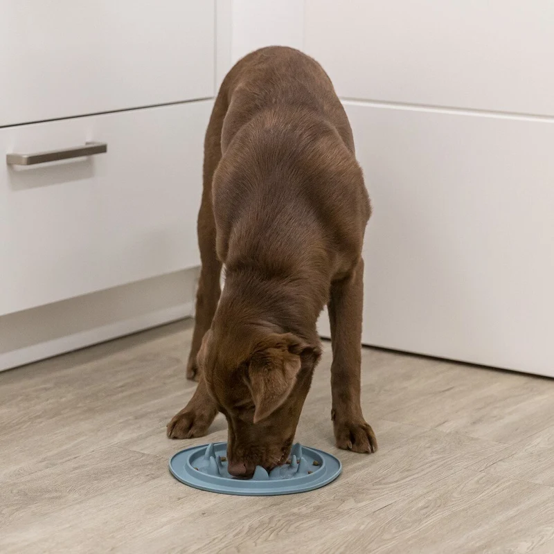 Slow Feed Futtermatte für Hunde und Katzen