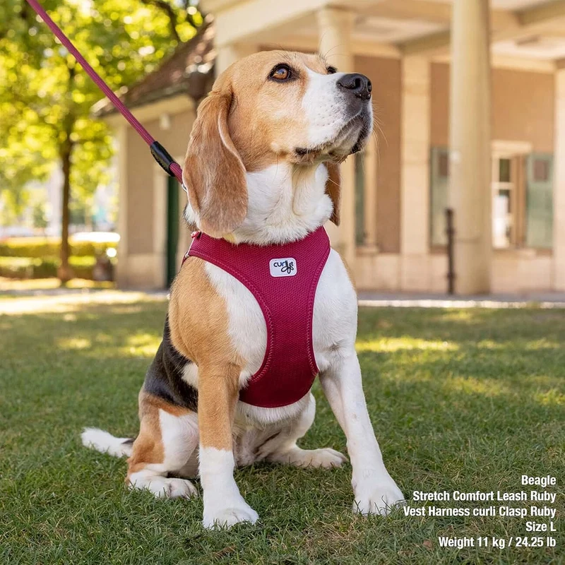 Curli Clasp Vest Hundegeschirr Air-Mesh – ultraleicht, Einhands-Schnalle, reflektierend, 12 Farben