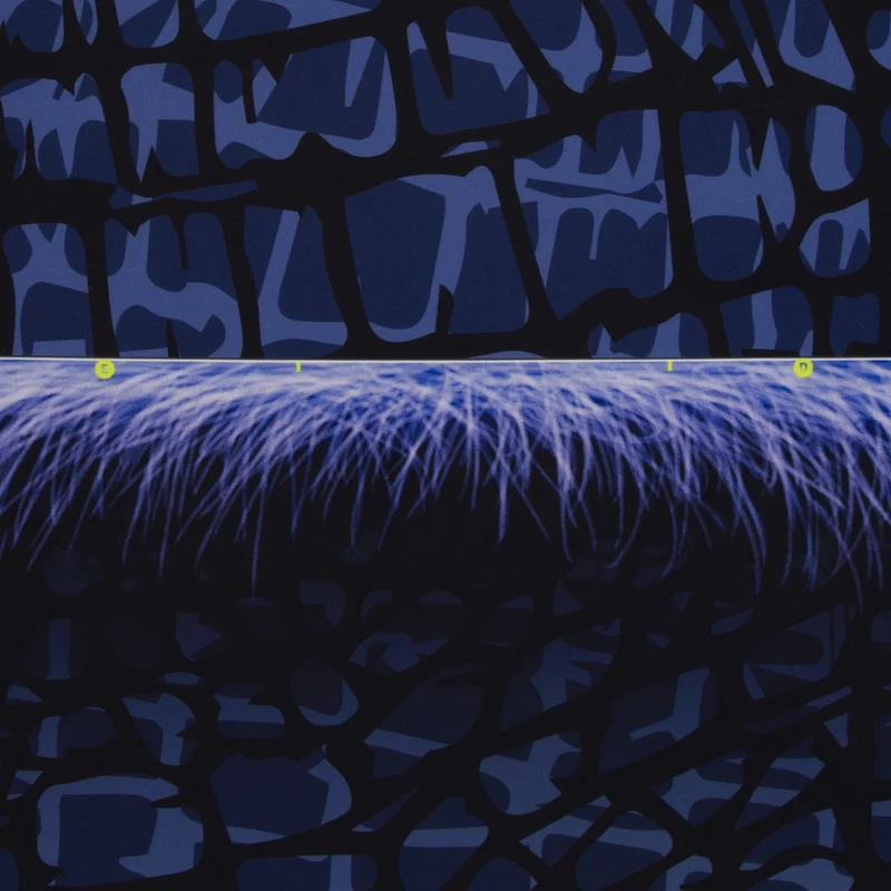 Monsta Pillows by Thorsten Berger dunkelblau