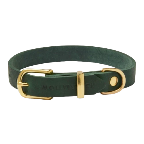 Sellerie Teckel Collier Cuir Butter Vert Foret