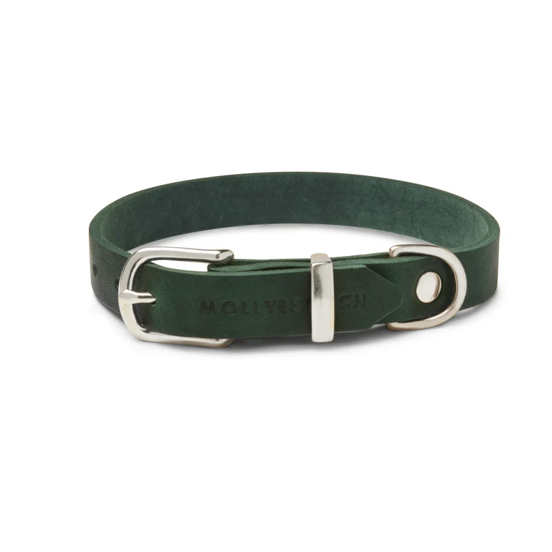 Sellerie Teckel Collier Cuir Butter Vert Foret