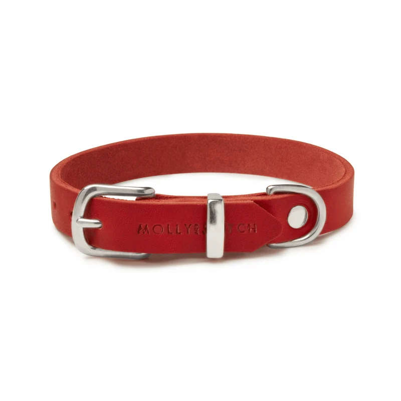 Sellerie Teckel Collier Cuir Butter Rouge