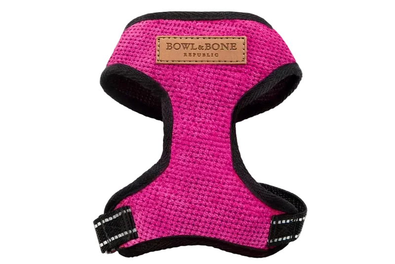 Sellerie Teckel Harnais Candy sur-mesure