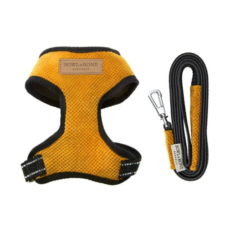 Sellerie Teckel Harnais Candy sur-mesure