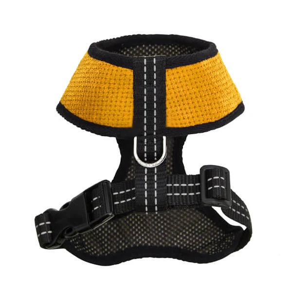 Sellerie Teckel Harnais Candy sur-mesure