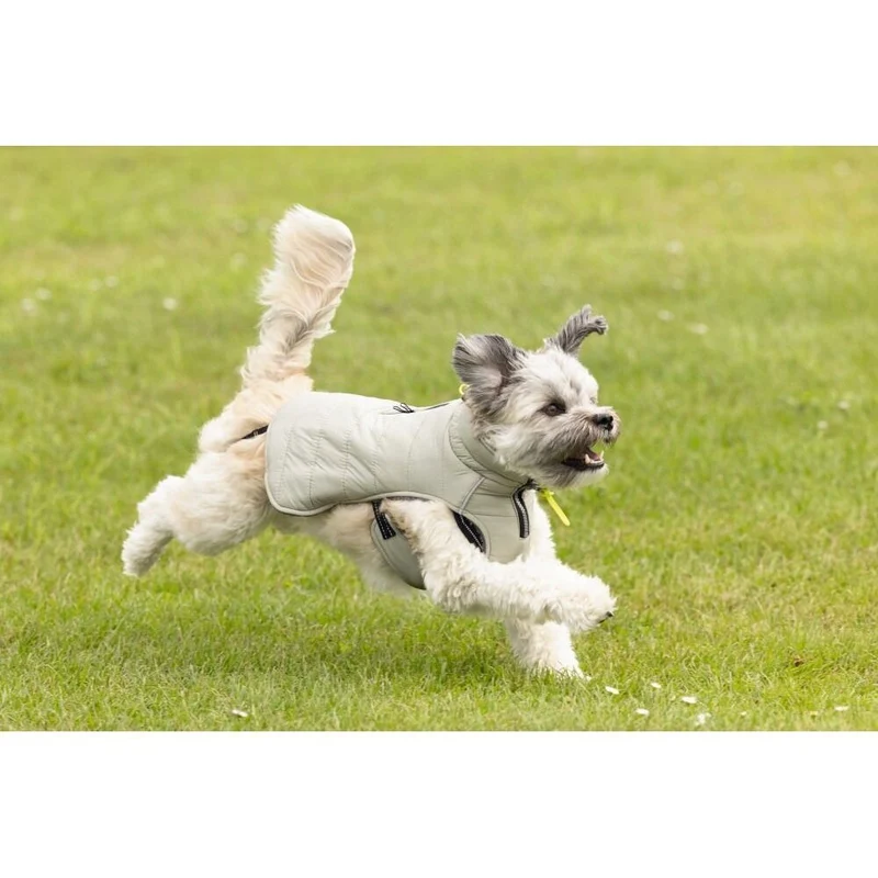 Beeztees Hundemantel Bobby – Wasserfest mit reflektierenden Details