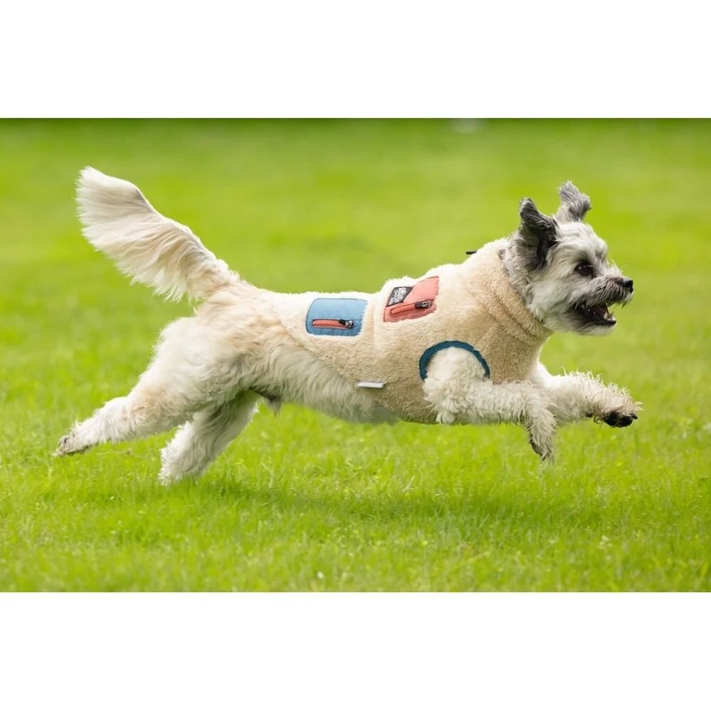 Beeztees Hundemantel Teddy – Weicher Teddystoff mit Taschen & Reißverschluss