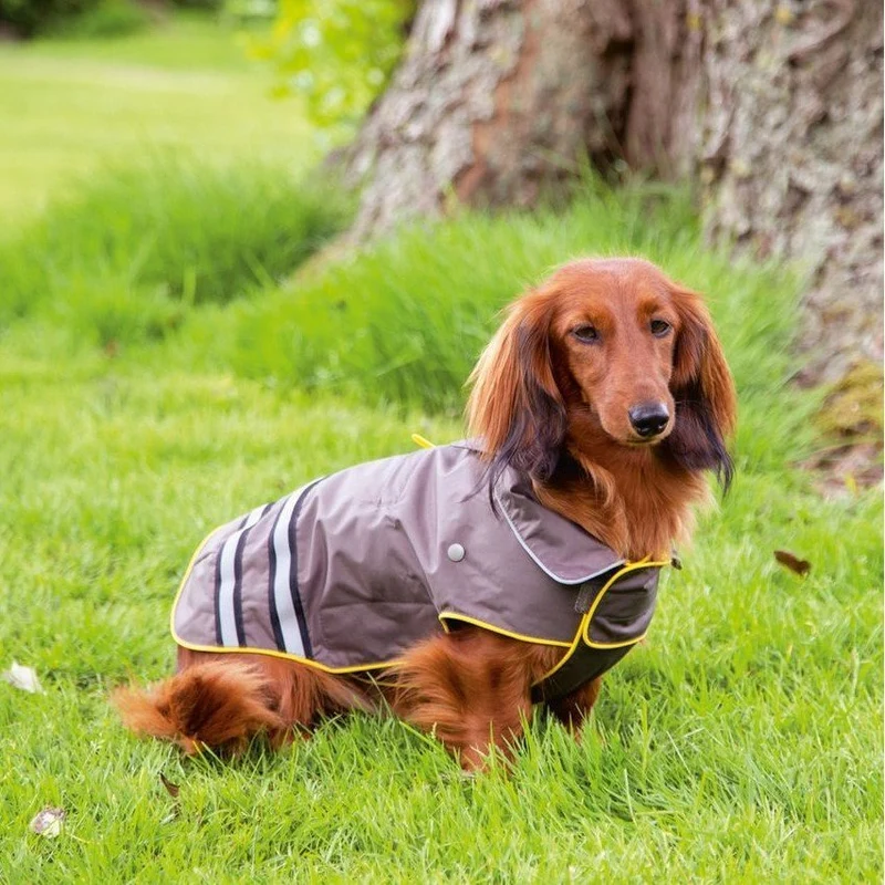 Beeztees Hunde Regenmantel Seja Reflex – Wasserdicht mit Fleece-Innenfutter