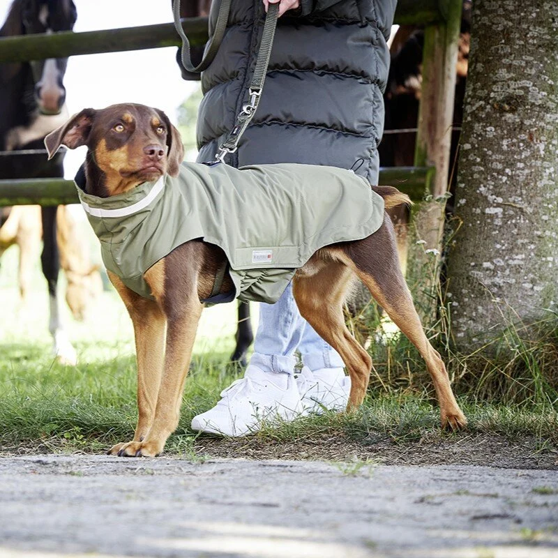 Wolters Outdoorjacke Modern Classic