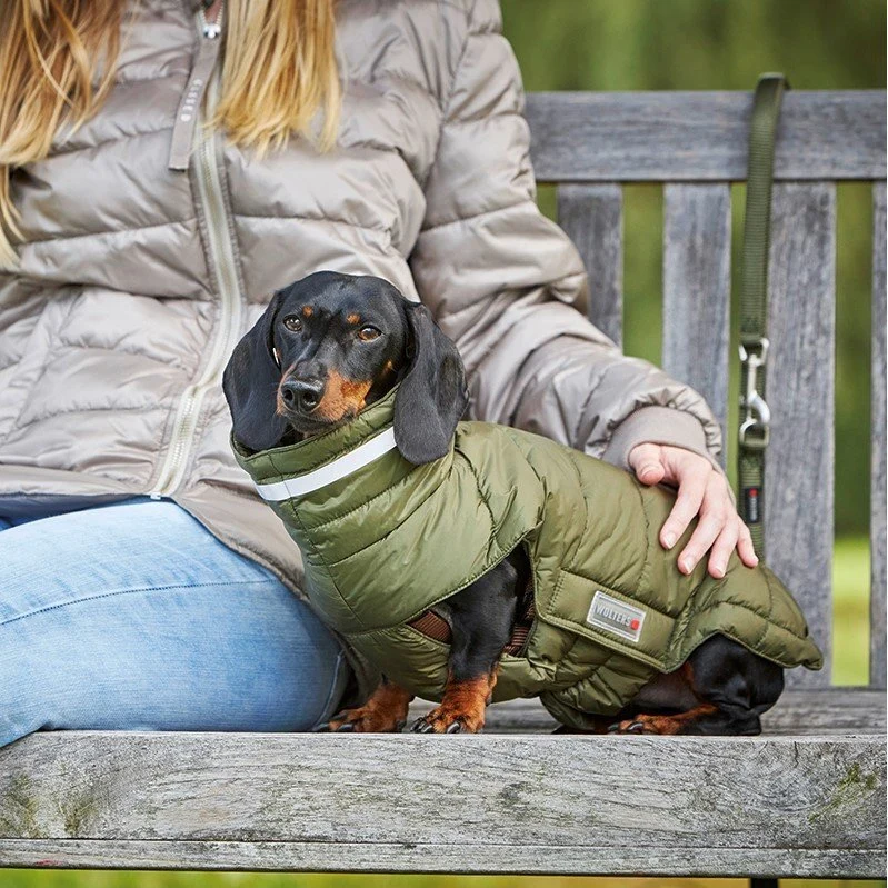 Wolters Steppjacke Cosy für Dackel-warmer Wintermantel mit Geschirröffnung