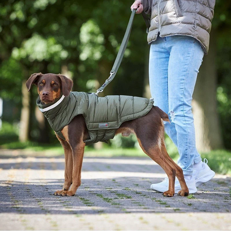 Wolters Steppjacke Hund Cosy