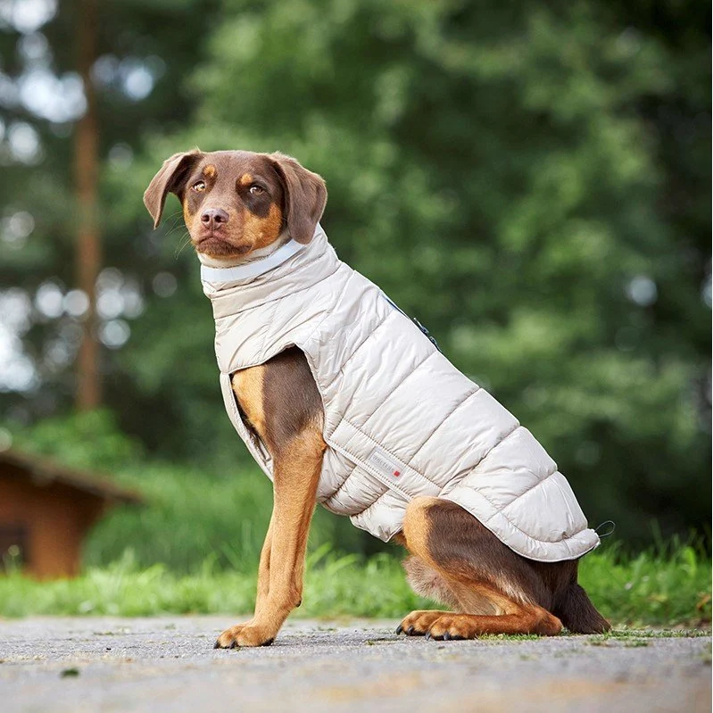 Wolters Steppjacke Hund Cosy