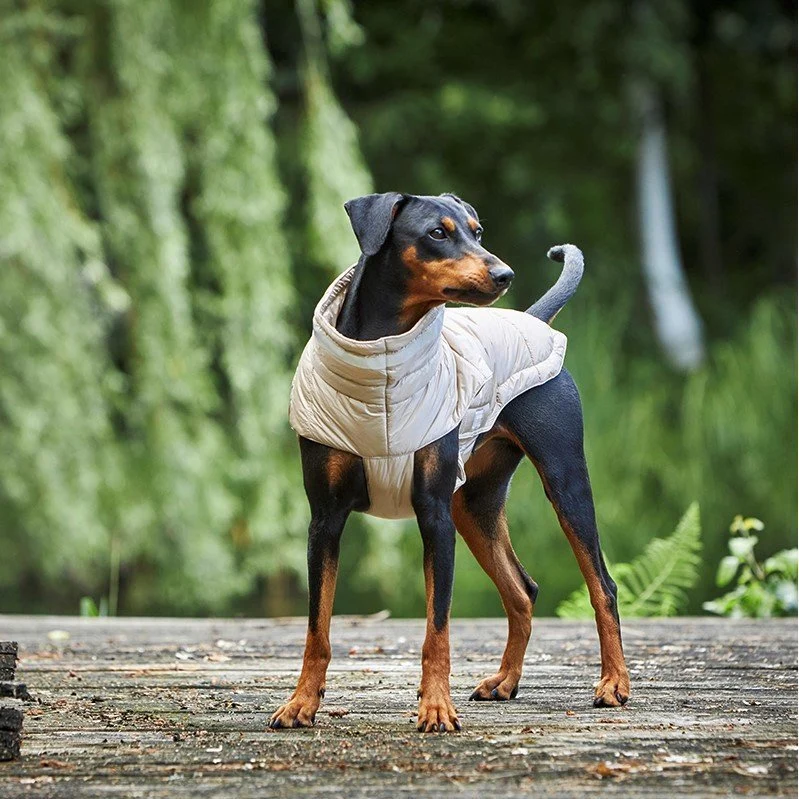 Wolters Steppjacke Hund Cosy