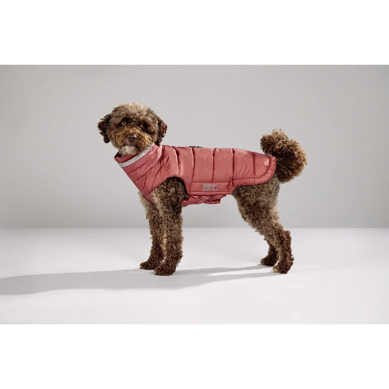 Wolters Steppjacke Hund Cosy