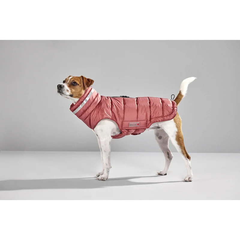 Wolters Steppjacke Hund Cosy