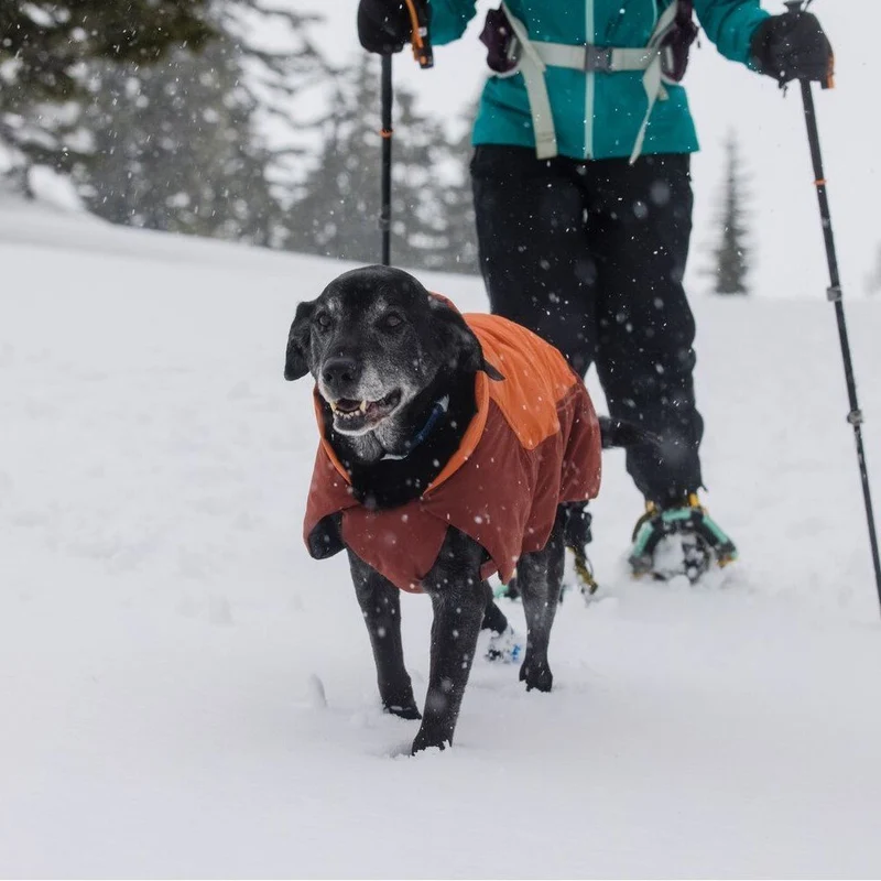 Vert Dog Jacket Hunde Wintermantel