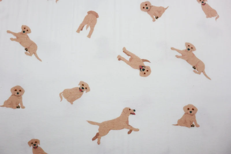 Flanell Golden Retriever Puppys by Qjutie