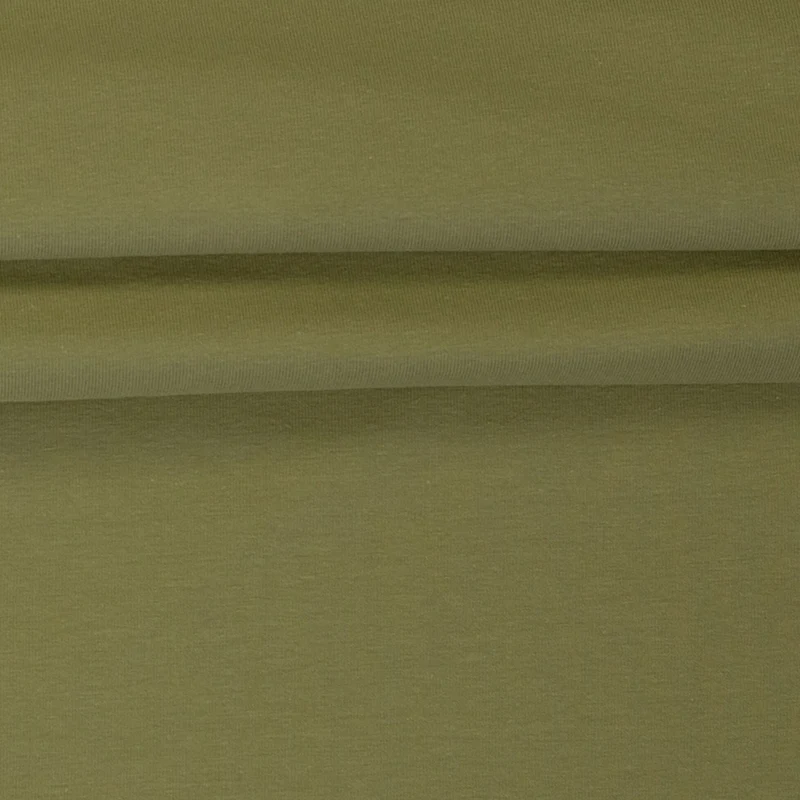 Baumwolljersey Fabrizia