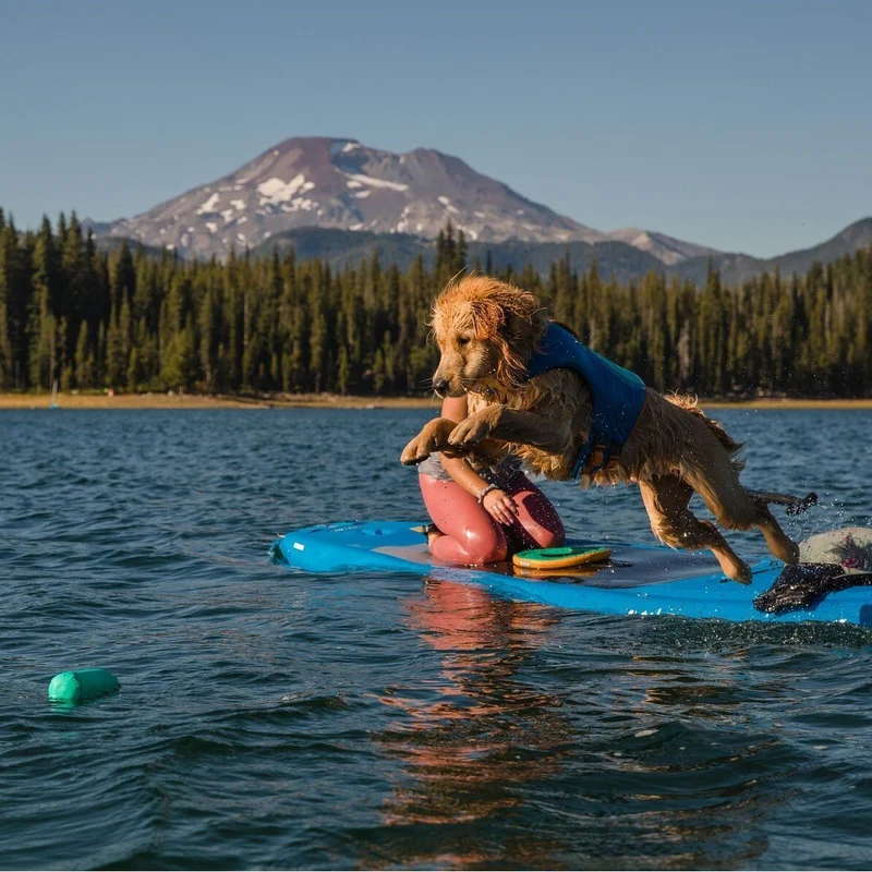 Ruffwear Float Coat Schwimmweste für Hunde Orange