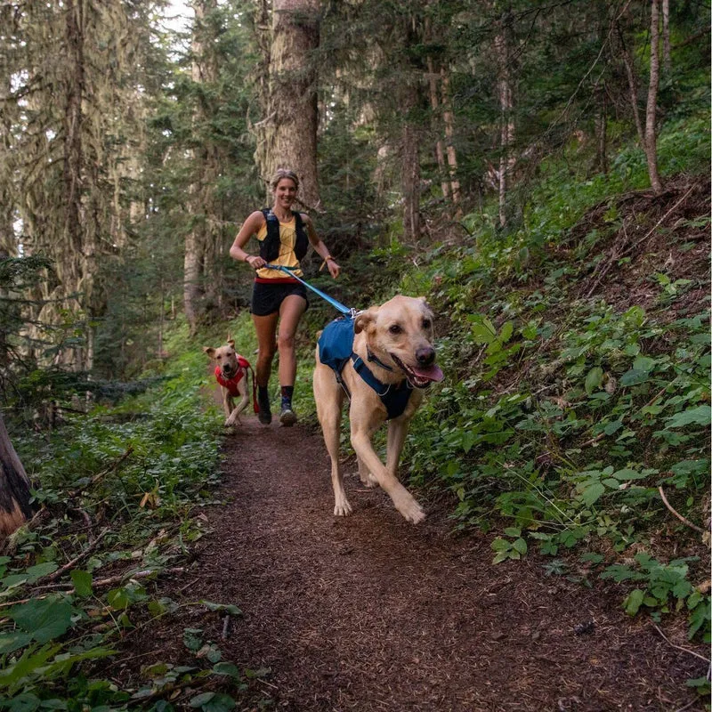 Hundeleine Roamer Leash