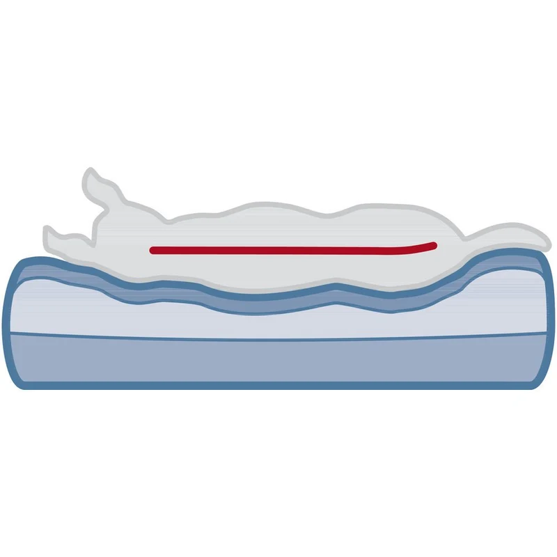 Vital Sofa Bendson