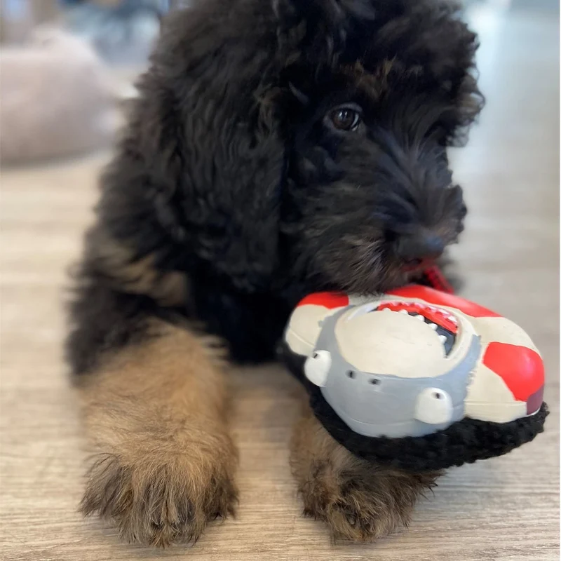 Snuggles Hundespielzeug