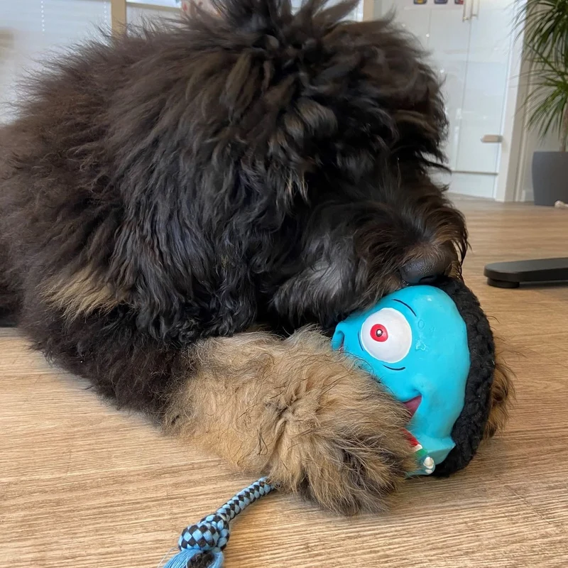 Snuggles Hundespielzeug